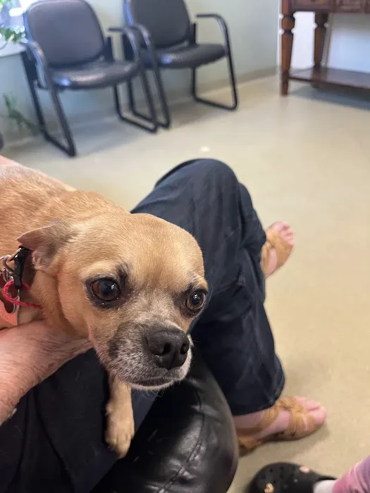 Animal Emergency & Trauma Center: Skeen Todd DVM Picture 3