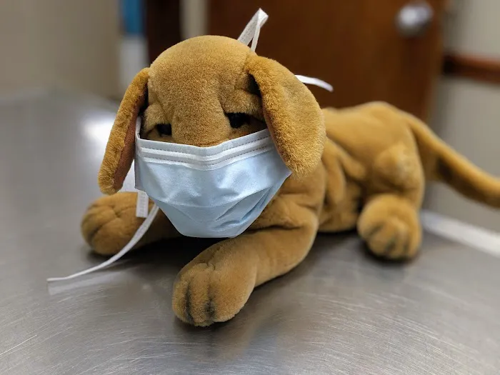 Abri Veterinary Hospital Picture 4