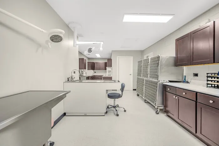 Abri Veterinary Hospital Picture 7