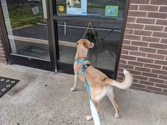 Abri Veterinary Hospital Picture 10