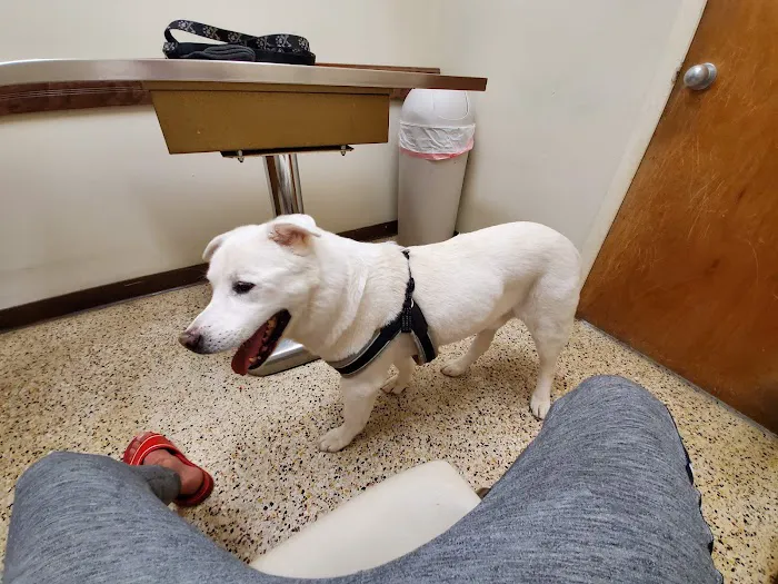 Abri Veterinary Hospital Picture 9