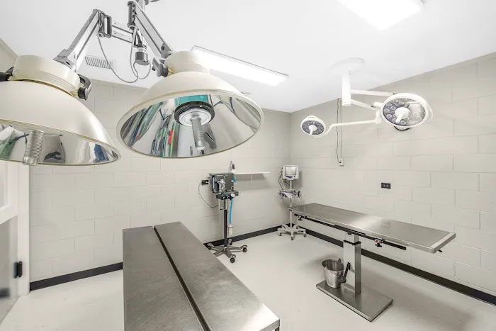 Abri Veterinary Hospital Picture 5