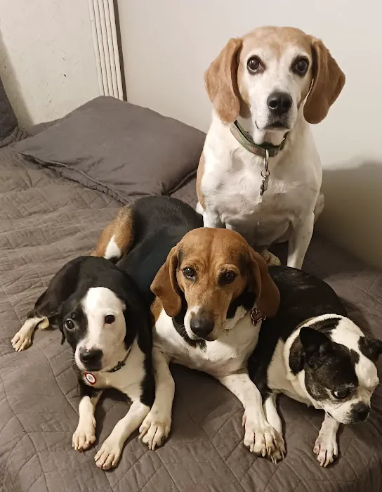 Banfield Pet Hospital Picture 3
