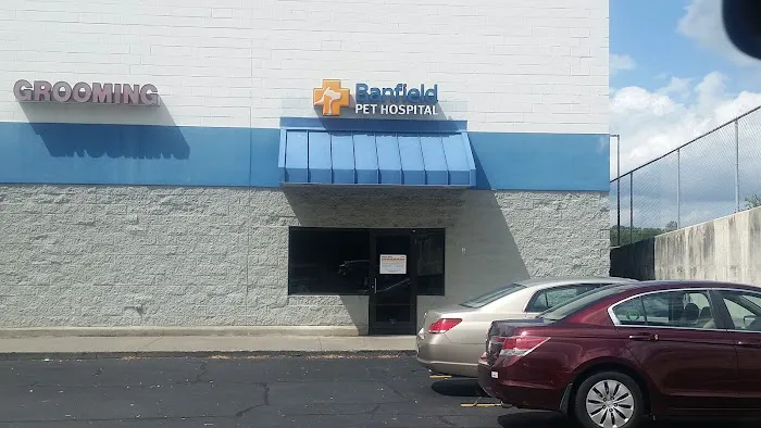 Banfield Pet Hospital Picture 5