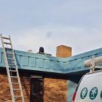 Southside Animal Hospital/Dennis D. Emerson Dvm,Ms