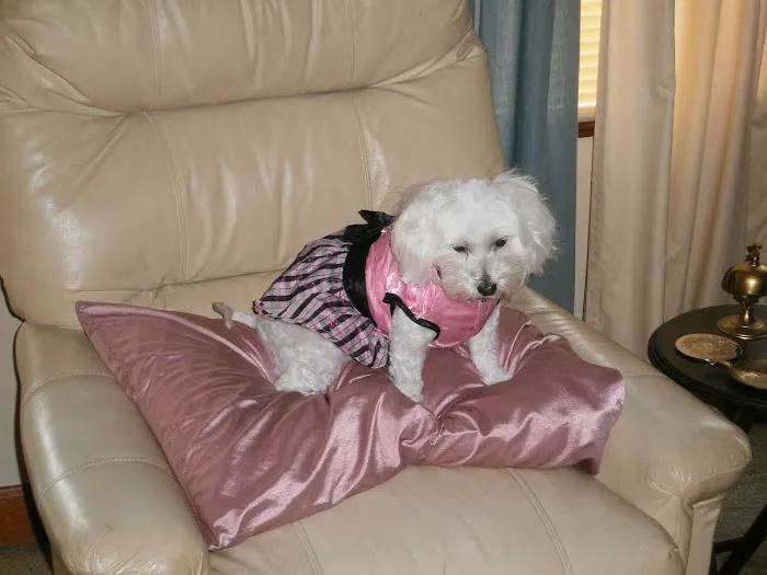 Southside Animal Hospital Picture 5