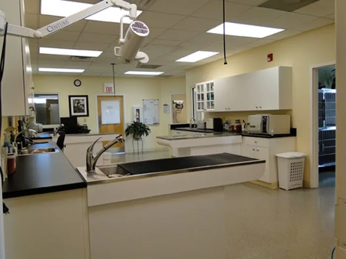 River Ridge Veterinary Hospital Picture 8