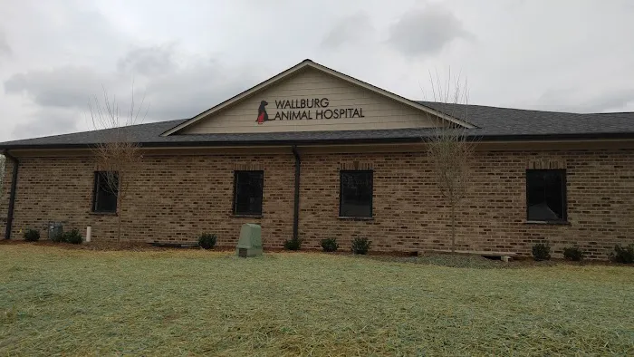Wallburg Animal Hospital Picture 5