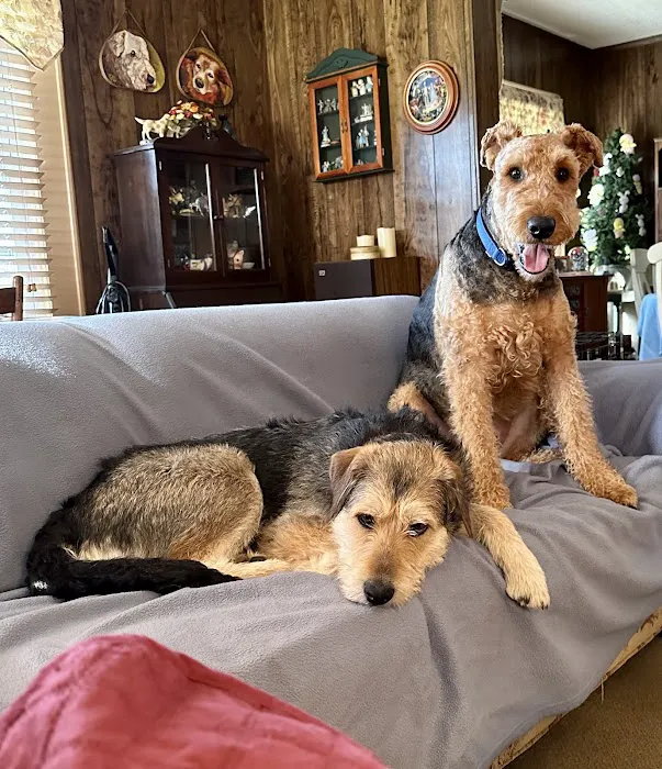 Wallburg Animal Hospital Picture 6