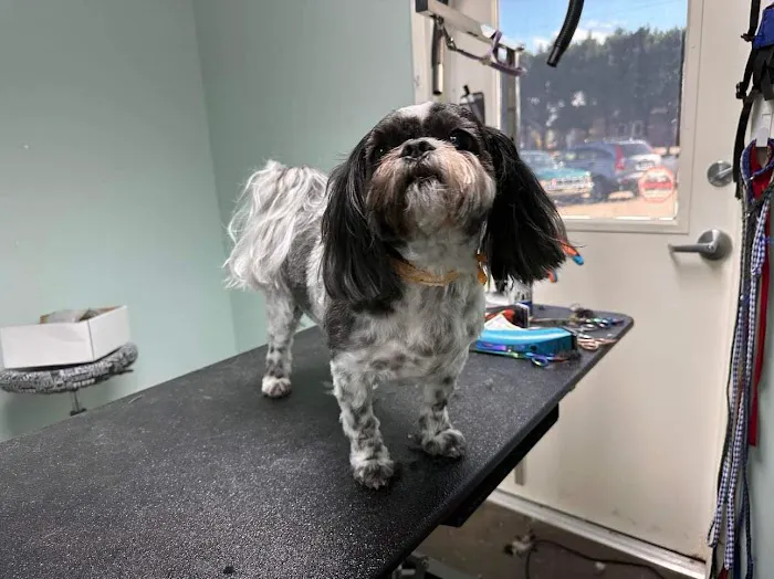 Wallburg Animal Hospital Picture 3