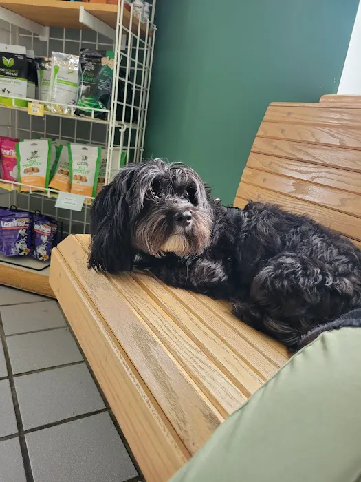 Community Animal Hospital Picture 1