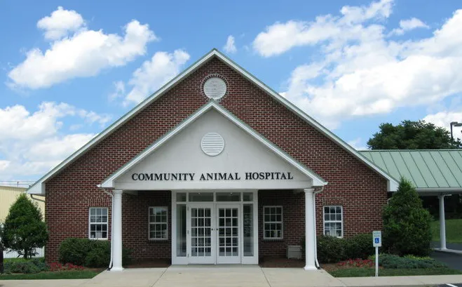Community Animal Hospital Picture 8