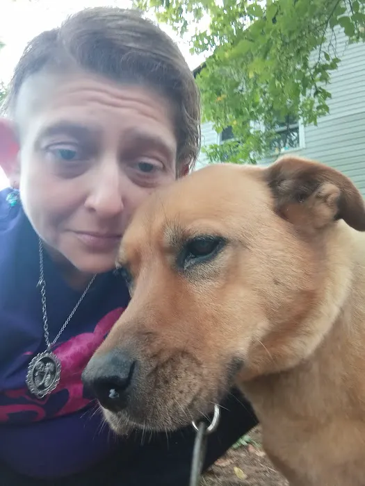 Community Animal Hospital Picture 5