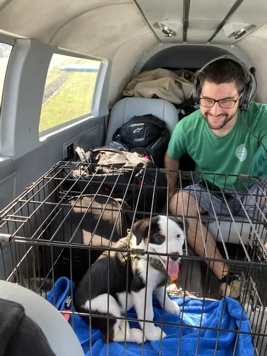 Durham Animal Hospital Picture 7