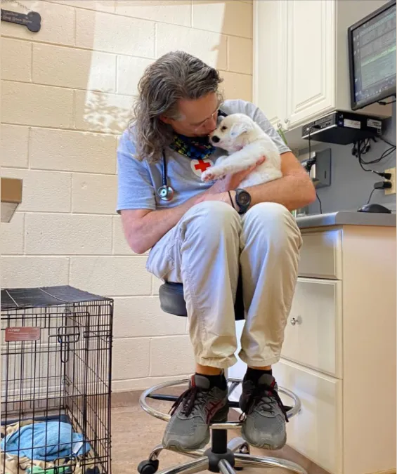 Durham Animal Hospital Picture 8