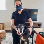 Local Mobile Veterinary Service