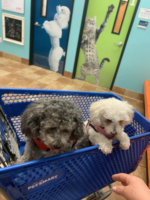 Banfield Pet Hospital Picture 9