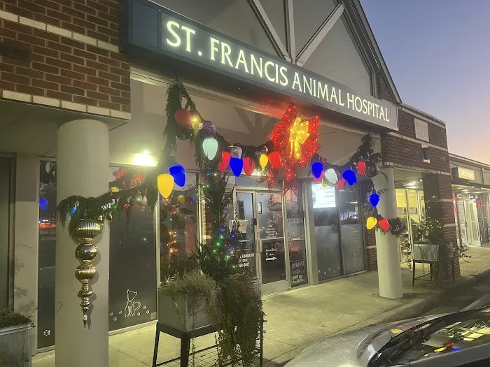 St. Francis Animal Hospital of Durham Picture 4