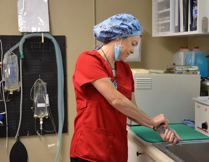 Westside Animal Hospital Picture 4