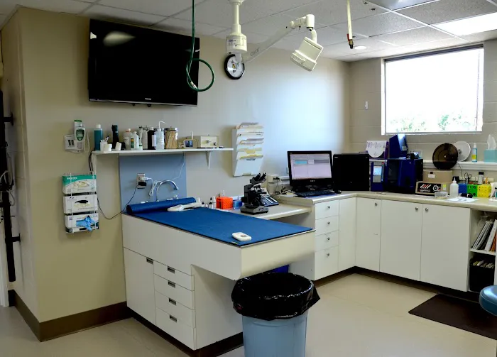 Westside Animal Hospital Picture 10
