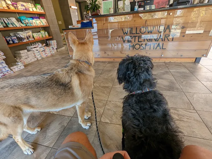 Willow Oak Veterinary Hospital - Mark Cagle DVM Picture 5