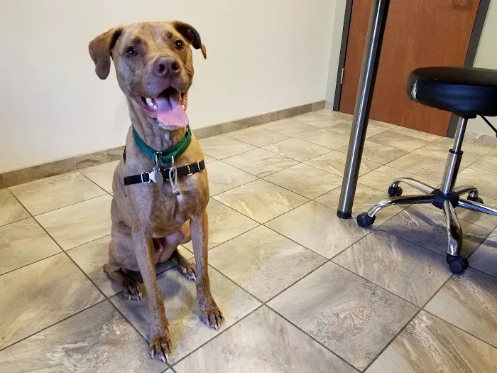 Willow Oak Veterinary Hospital - Mark Cagle DVM Picture 7
