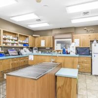 Animal Medical Centre Of Greensboro ico
