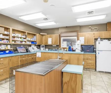 Animal Medical Centre Of Greensboro