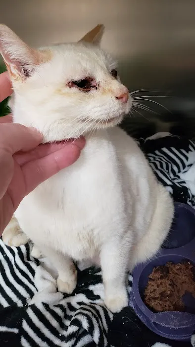 Animal Medical Centre Of Greensboro Picture 9