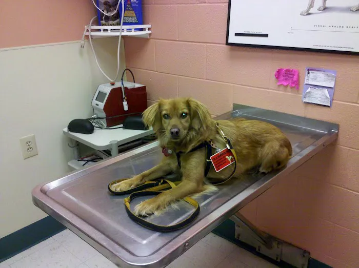 Southwoods Animal Hospital Picture 1