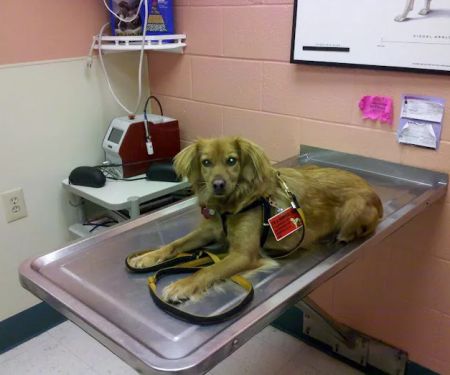 Southwoods Animal Hospital