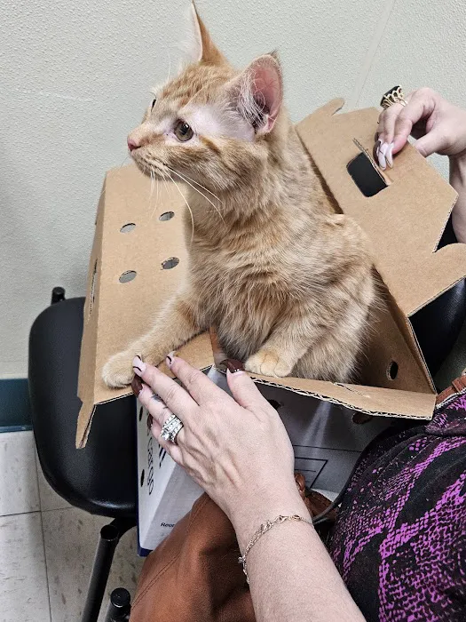 Southwoods Animal Hospital Picture 9