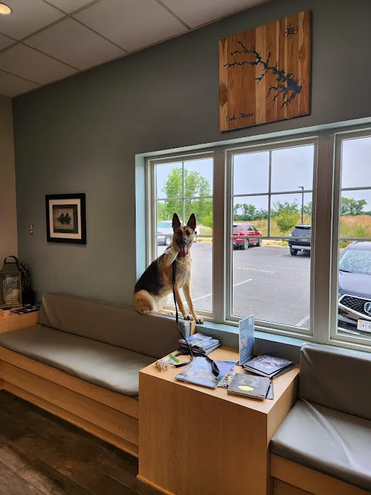 Lake Anna Veterinary Hospital Picture 6