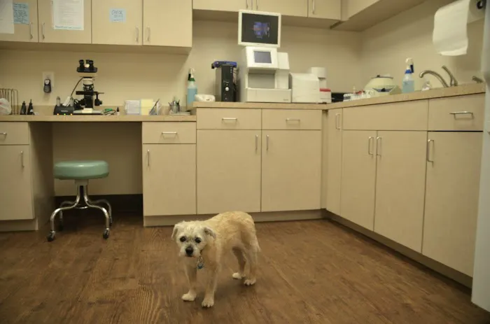 Locust Grove Veterinary Clinic Picture 4