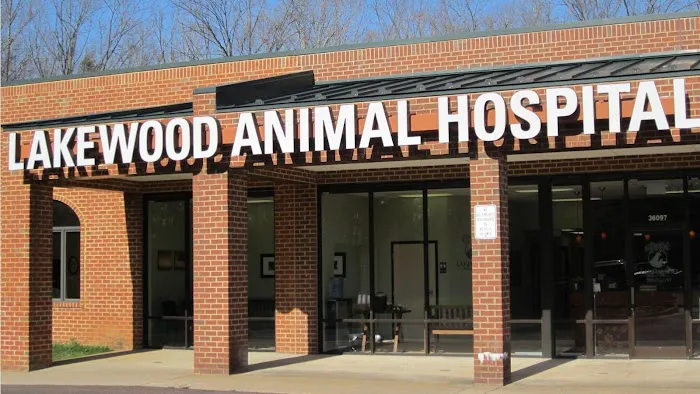 Lakewood Animal Hospital Picture 3