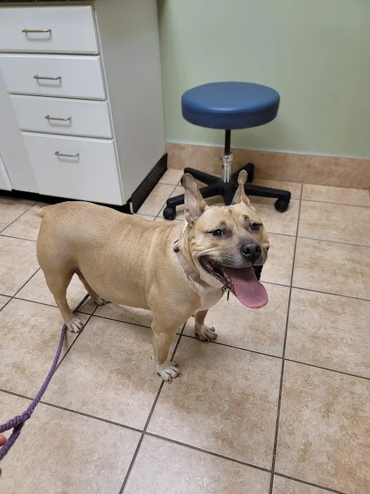 Lakewood Animal Hospital Picture 4