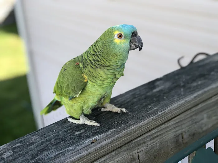 Paradocs Animal Hospital Picture 4