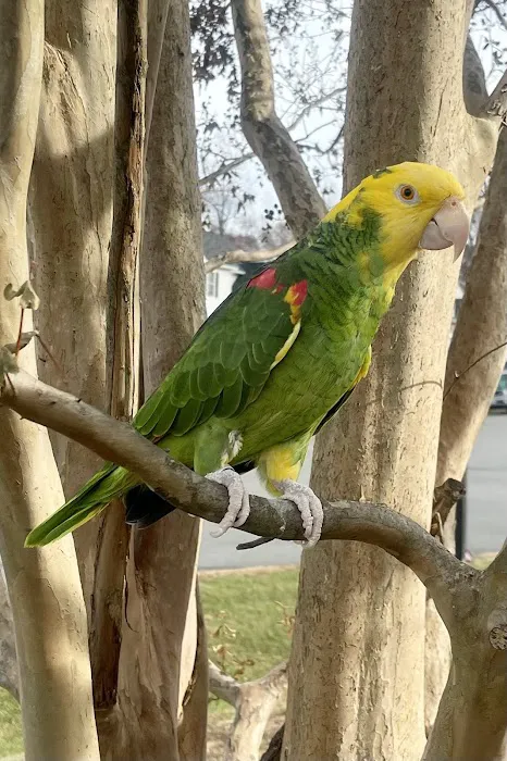 Paradocs Animal Hospital Picture 7