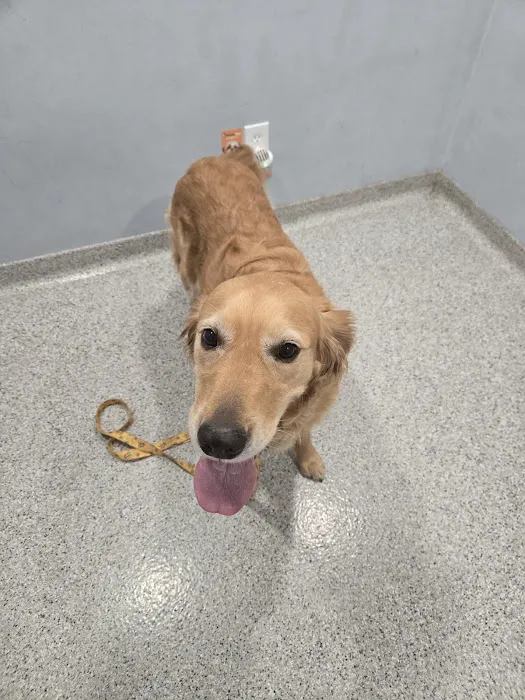 Paradocs Animal Hospital Picture 2