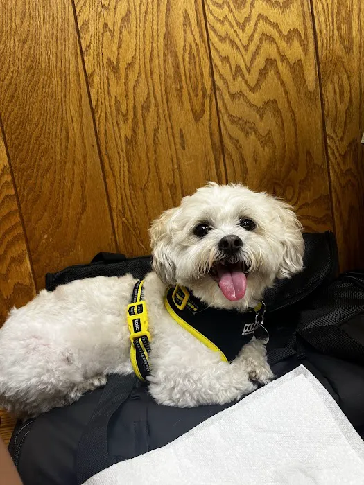 Sagamore Hills Animal Hospital Picture 9