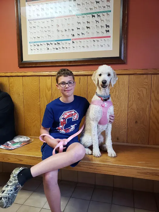 Sagamore Hills Animal Hospital Picture 8