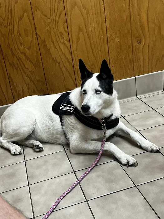 Sagamore Hills Animal Hospital Picture 10