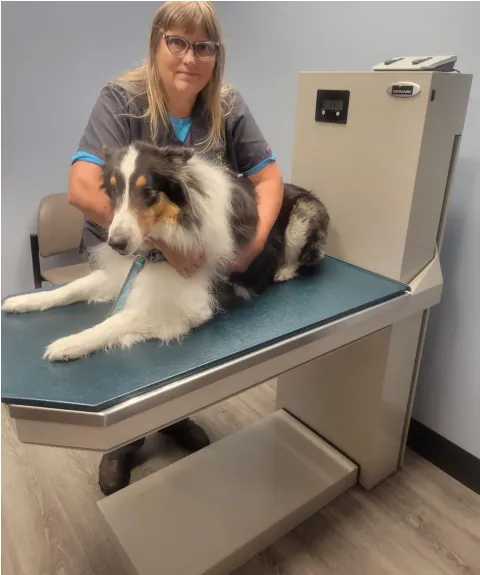 Sagamore Hills Animal Hospital Picture 1
