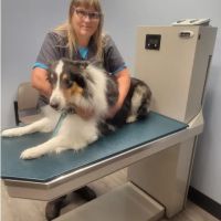 Sagamore Hills Animal Hospital ico