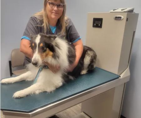 Sagamore Hills Animal Hospital