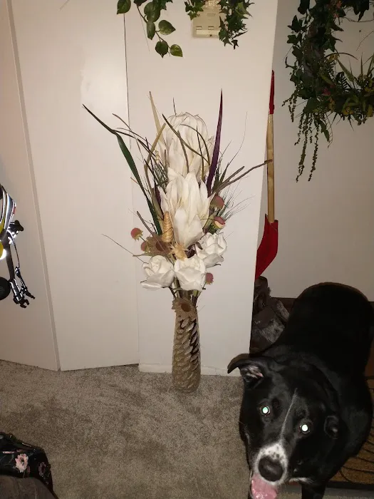 Family Pet Clinic: Slezak Terri J DVM Picture 3