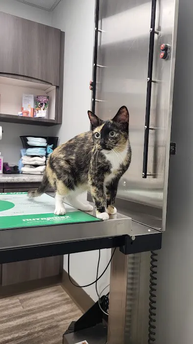 The Family Pet Clinic Picture 4