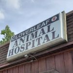 Cloverleaf Animal Hospital: Wright Fred J DVM