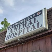 Cloverleaf Animal Hospital: Wright Fred J DVM ico