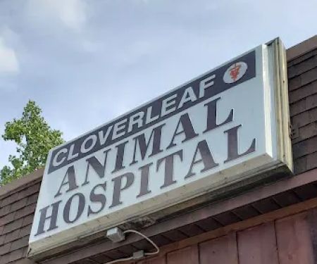 Cloverleaf Animal Hospital: Wright Fred J DVM